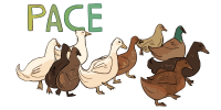 Pace Farm